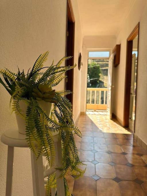Casa De Sergude Peso da Régua Exteriör bild