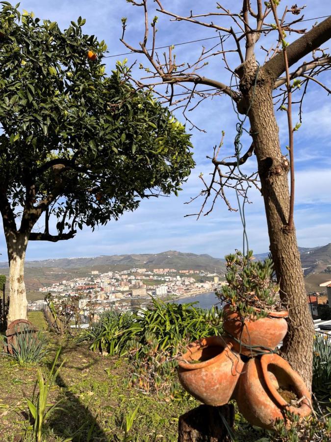 Casa De Sergude Peso da Régua Exteriör bild