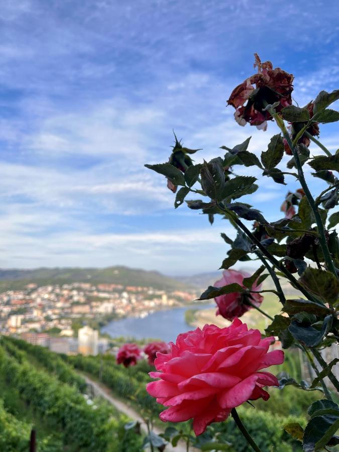 Casa De Sergude Peso da Régua Exteriör bild